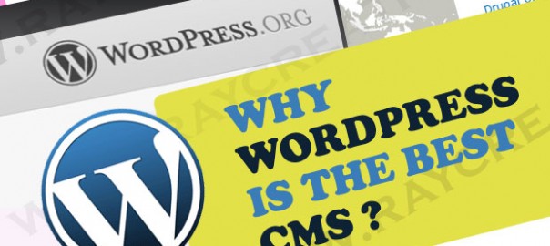 Why WordPress Is The Best CMS Platform For Your Website