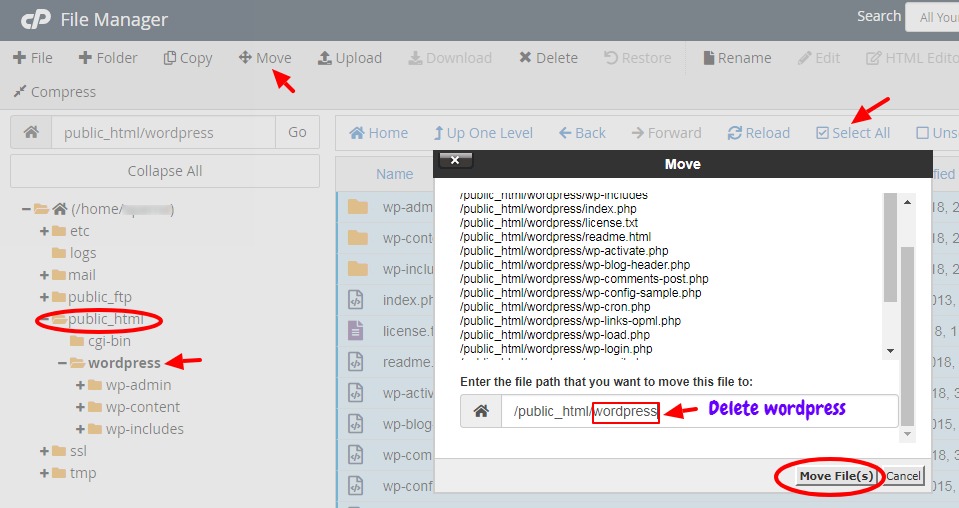 Move files in File Manager - cPanel