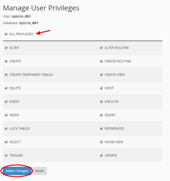 manage db user privileges