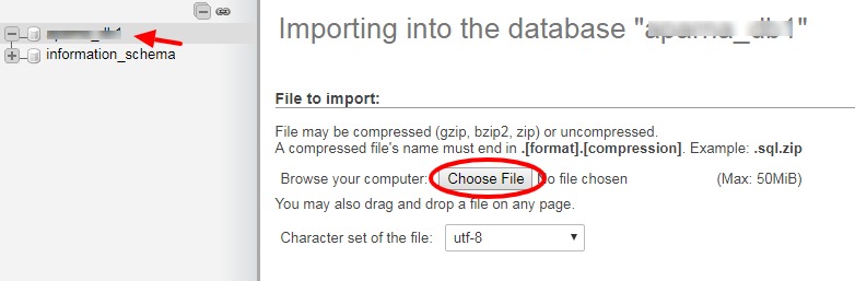 Choosing file to import in phpMyAdmin